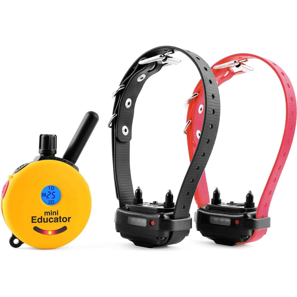 Dog Collar Remote D77719