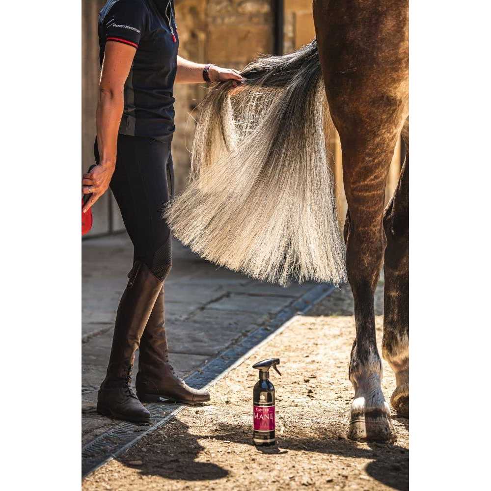 Mane & Tail Conditioner T632