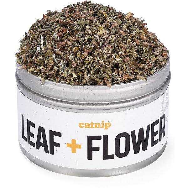 Silver Vine Catnip J986963