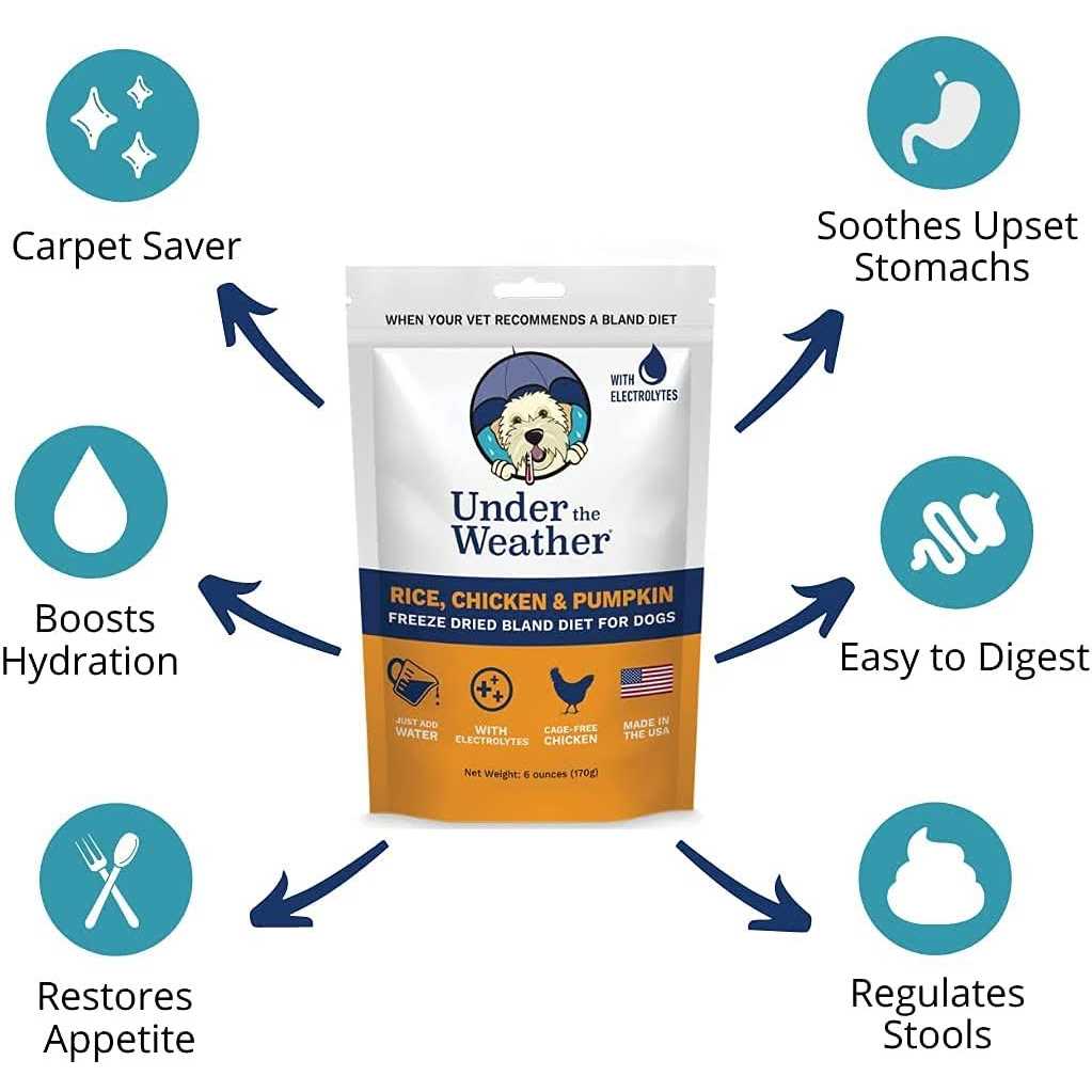Chicken & Rice Bland Diet for Dogs V8562
