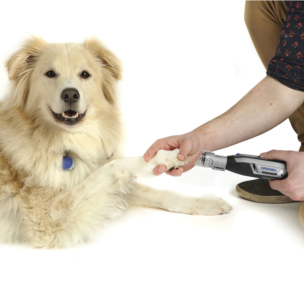 4 Volt Cordless Pet Nail Grooming Kit with 10 Grooming Disks Z848