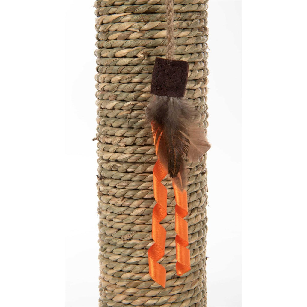 Simply Scratch Post with Feather Toy Q37789