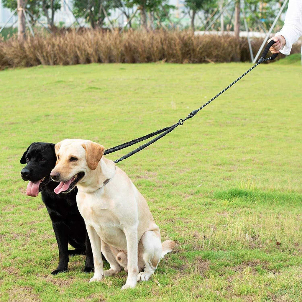 Double Dog Leash 360 Swivel No Tangle O800