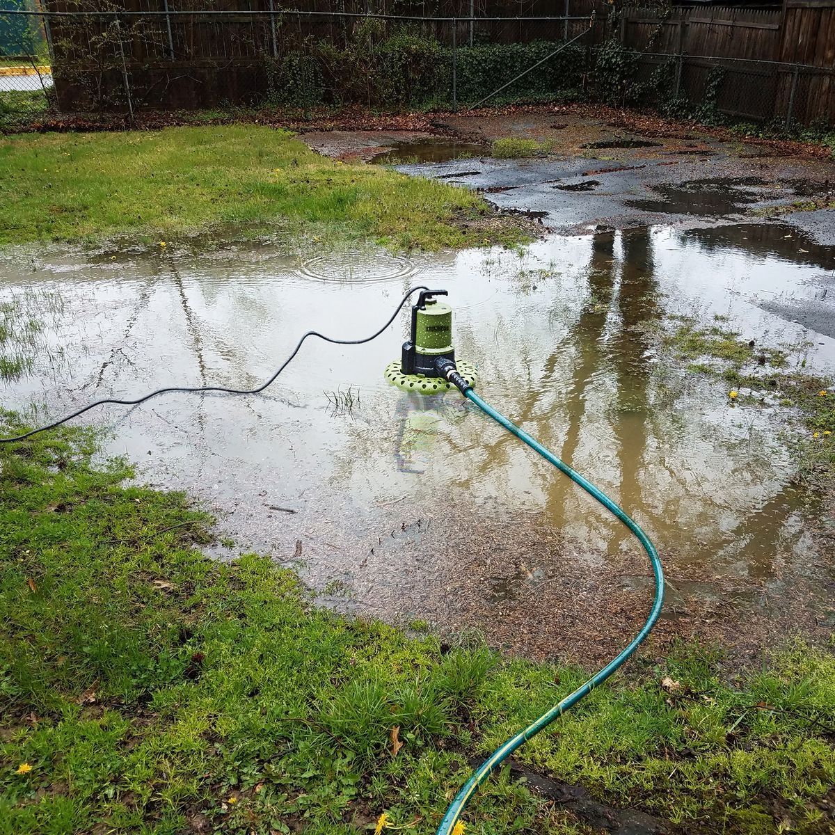Automatic Submersible Utility Pump F94731
